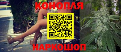 сатива Волгодонск