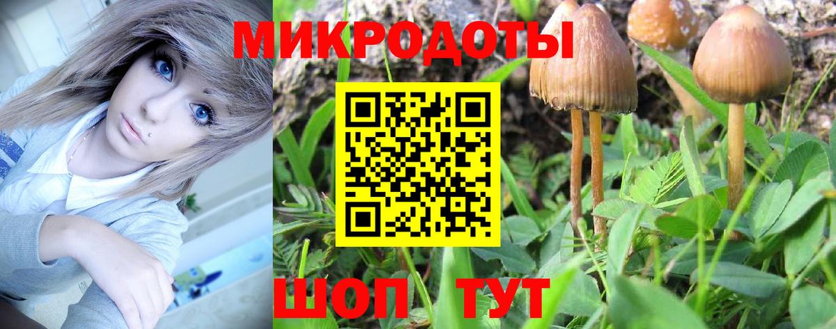 Орёл  Псилоцибиновые грибы Psilocybine cubensis  Галлюциногенные грибы Magic Shrooms  Вход с VPN 